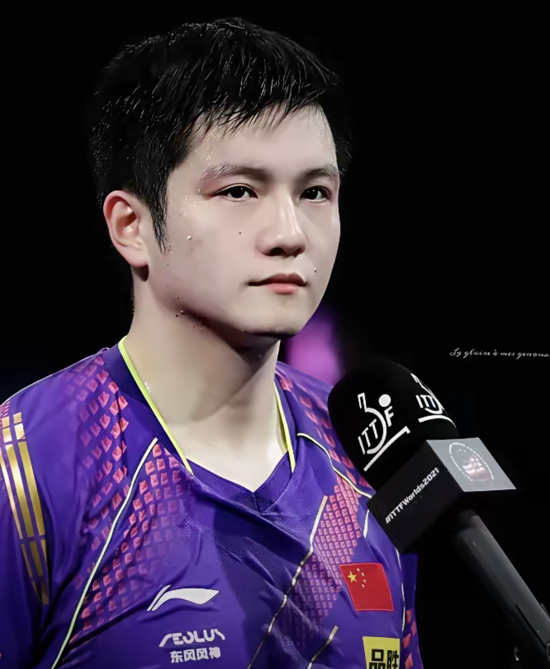 中国队力克法国队,樊振东刷新纪录 中国队力克法国队,樊振东刷新纪录