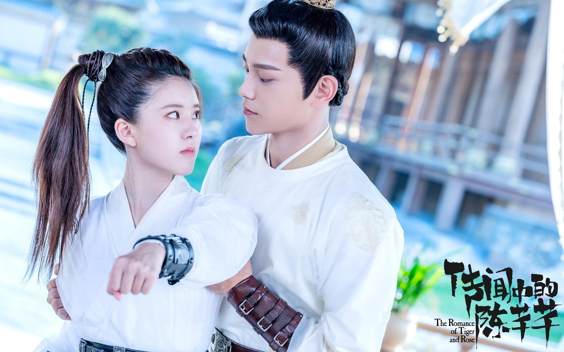 当球场响起蓝色多瑙河,论奥地利队与许昕如何在不同维度重塑统治力