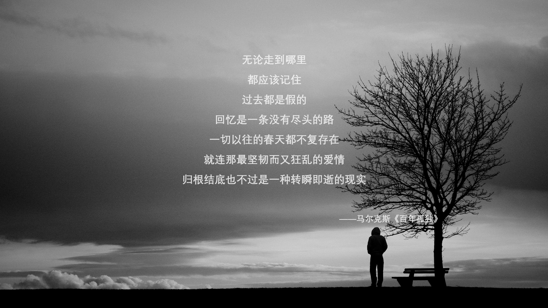 优雅的暴政，当阿斯顿马丁的唯一性碾压迈凯伦的范式，塞恩斯如何用反叛点燃赛场