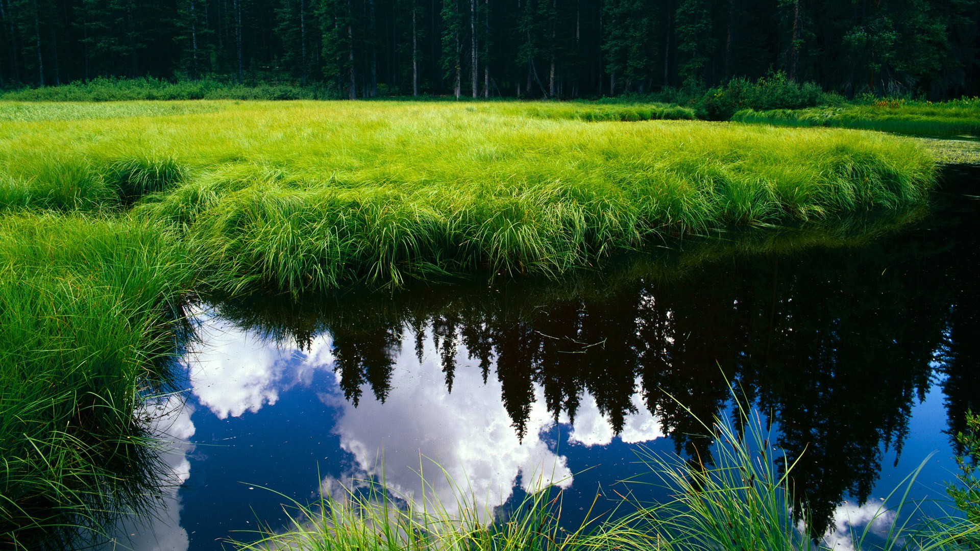 涡轮心脏,坎特在都灵之夜的关键节点连续开火