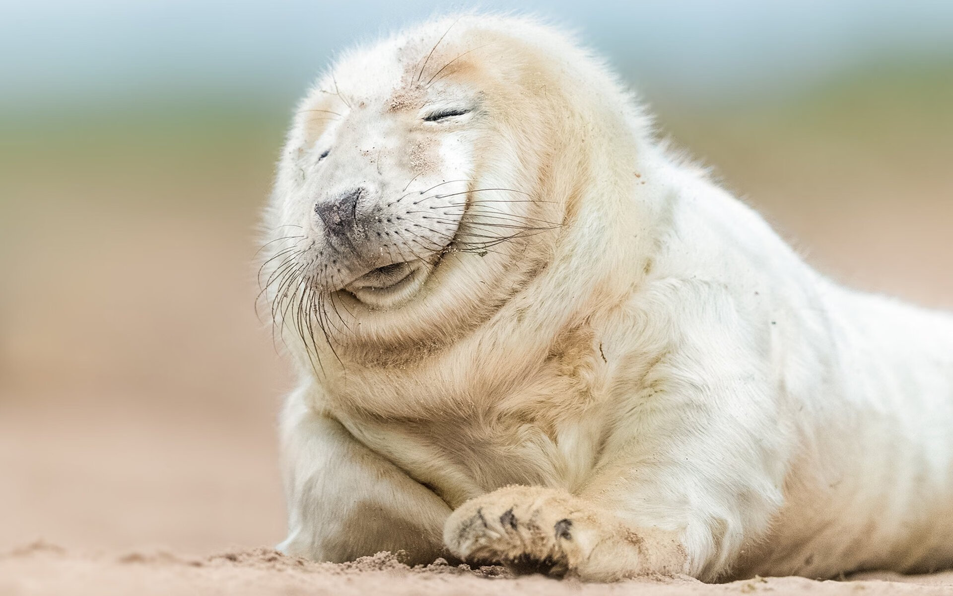 绿茵终局的艺术,C罗领衔葡萄牙,在年度焦点战中完成对沙特的优雅收割