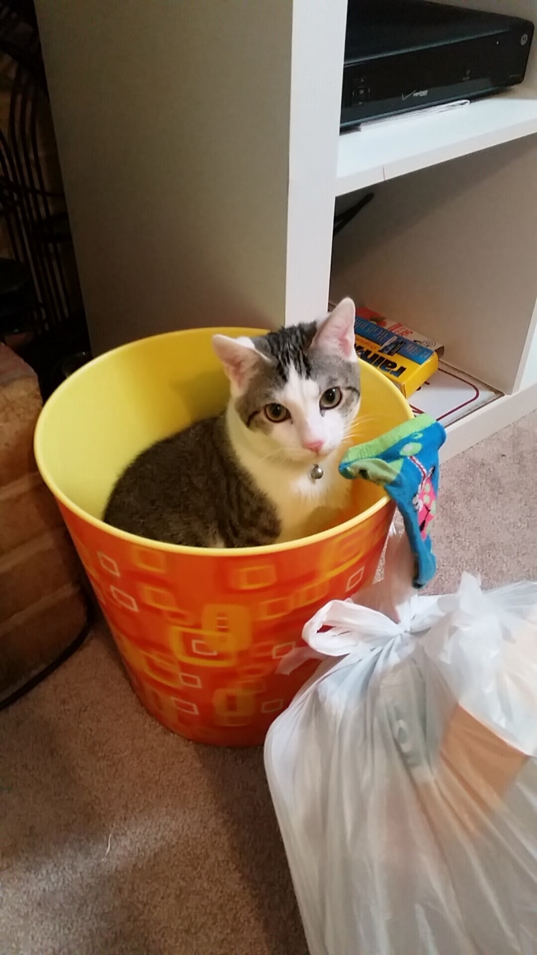 1.2%的概率狂欢夜,当莫兰特47分成为背景,谁在芝加哥投中反篮球绝杀?