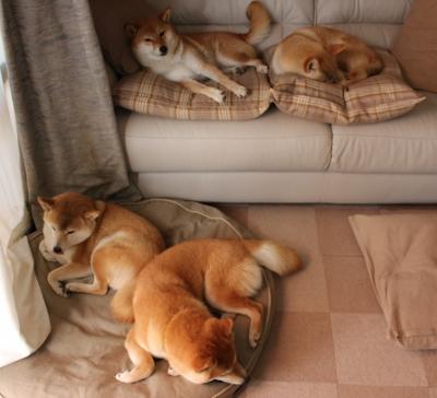 双面教科书,奥斯梅恩的进攻艺术与突尼斯的防守铁壁