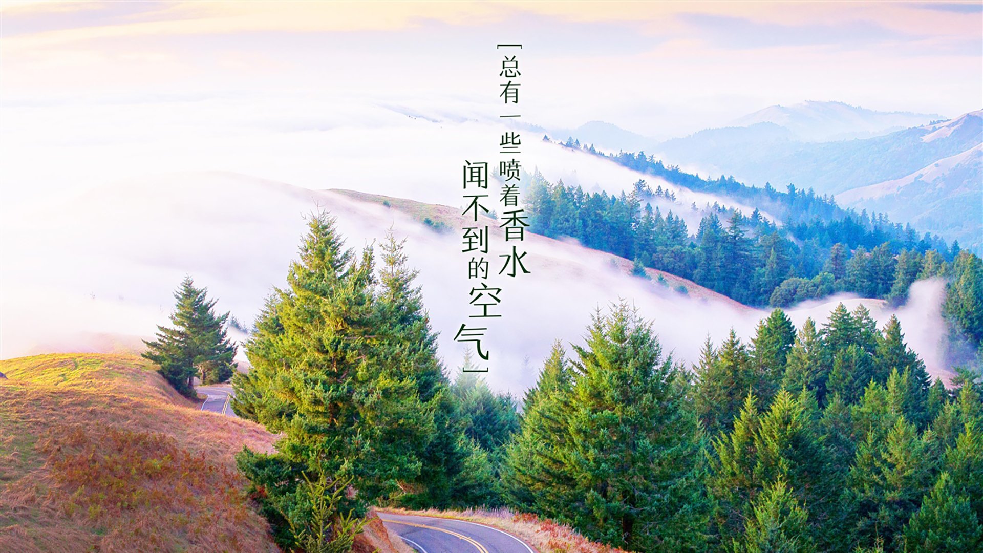 爱游戏在线-双重奏，当F1的银箭刺破加泰罗尼亚，马赛的狂想曲响彻西班牙