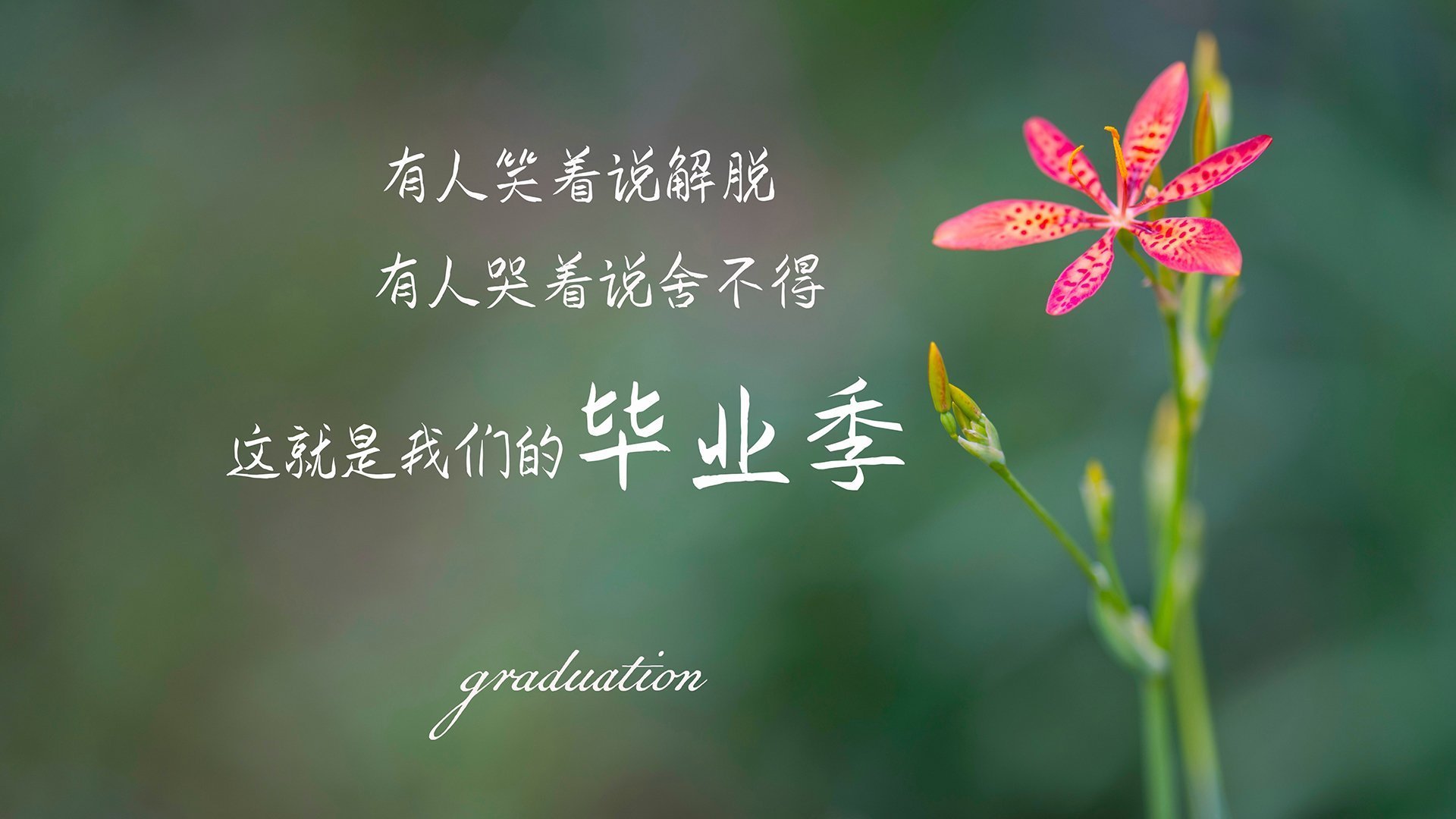 爱游戏在线-节奏的独裁，当德容在2026世界杯D组操盘荷兰与厄瓜多尔之战