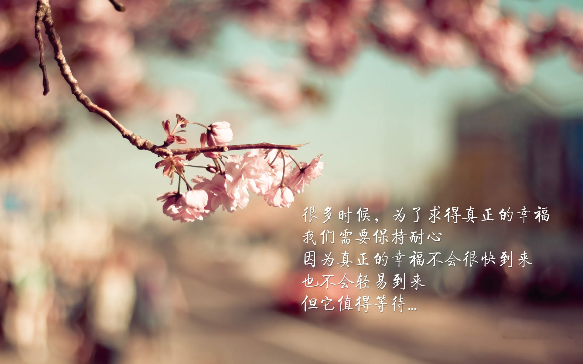 斗牛士之殇,当泰国旋风席卷绿茵,格列兹曼以一己之力撕裂东方的梦